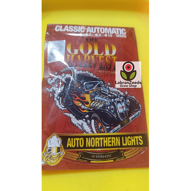 NORTHERN LIGHTS AUTO x1 