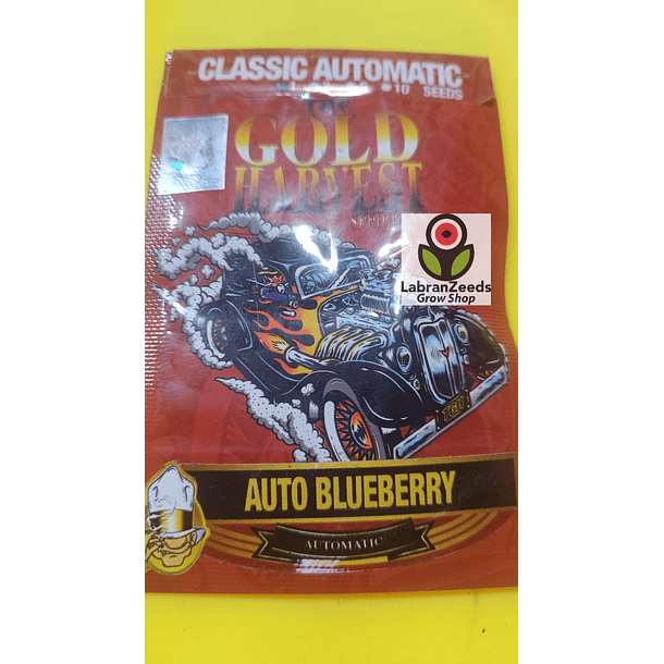 BLUEBERRY AUTO x1 