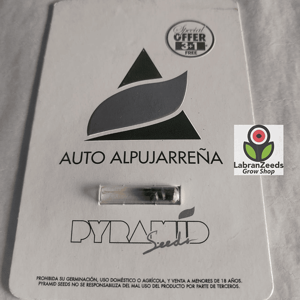 AUTO ALPUJARREÑA X3+1 