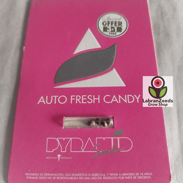 AUTO FRESH CANDY X3+1 