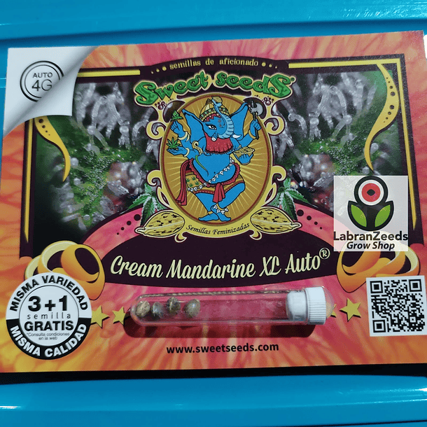 CREAM MANDARINE XL AUTO X3+1 