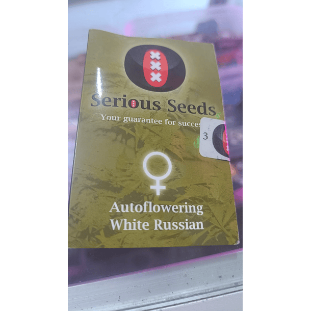 WHITE RUSSIAN AUTO X3 