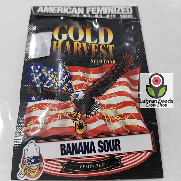 BANANA SOUR FEM X1 