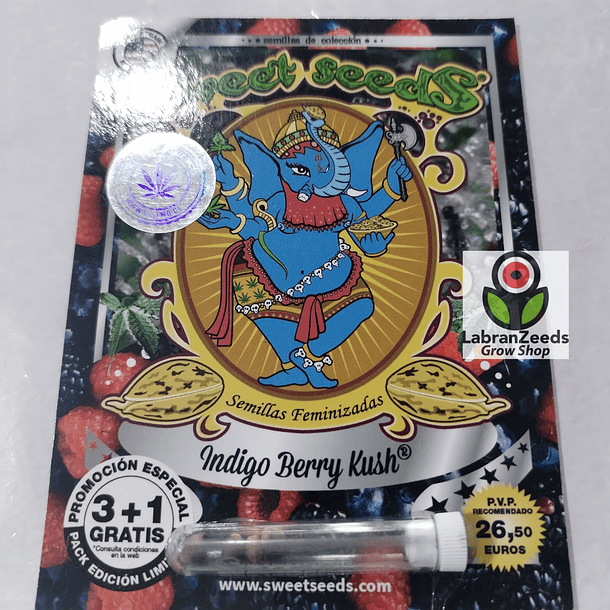 FEM INDIGO BERRY KUSH X3+1 