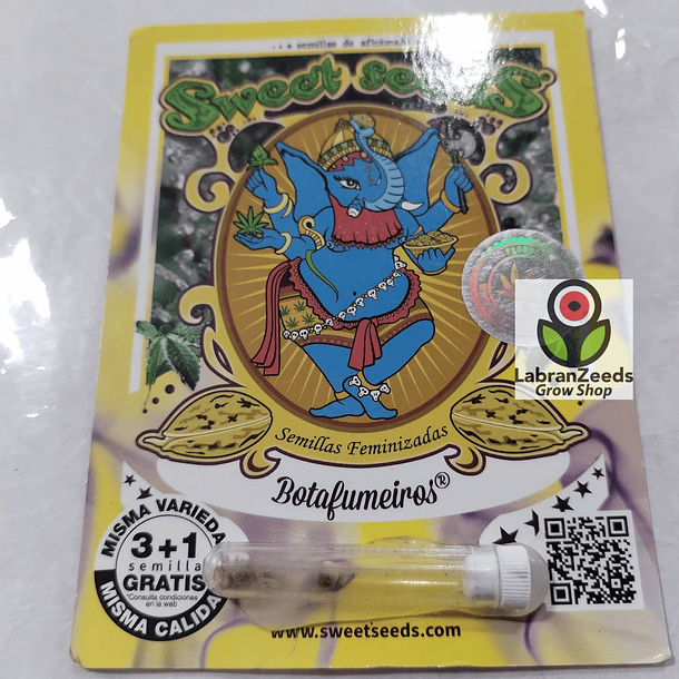 FEM BOTAFUMEIROS X3+1 