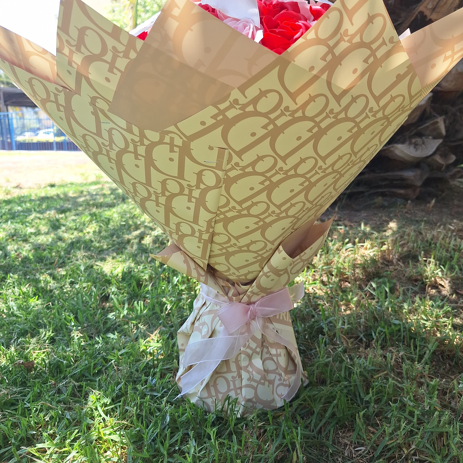 100 rosas Bicolor  2