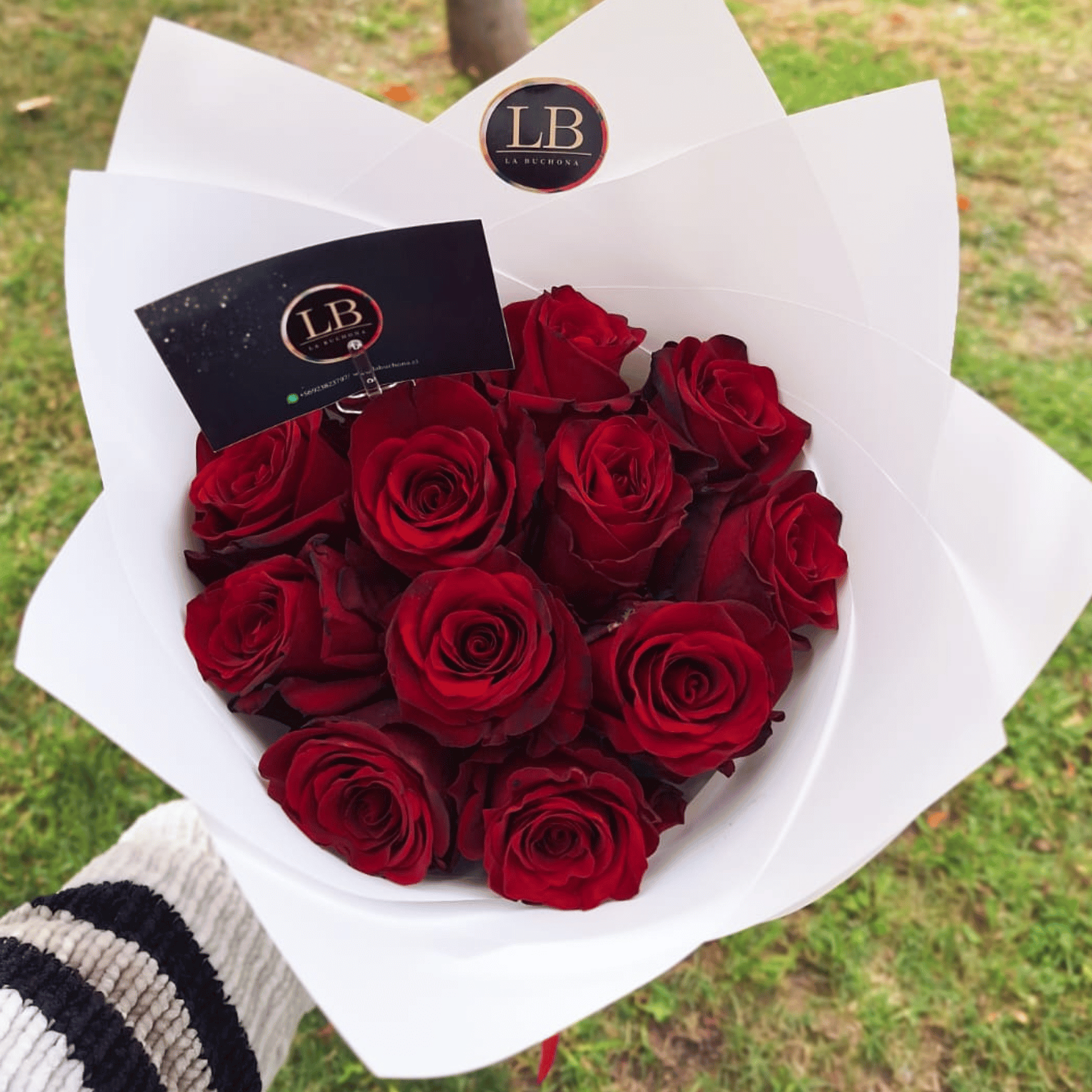 Ramo de 12 Rosas Naturales  1