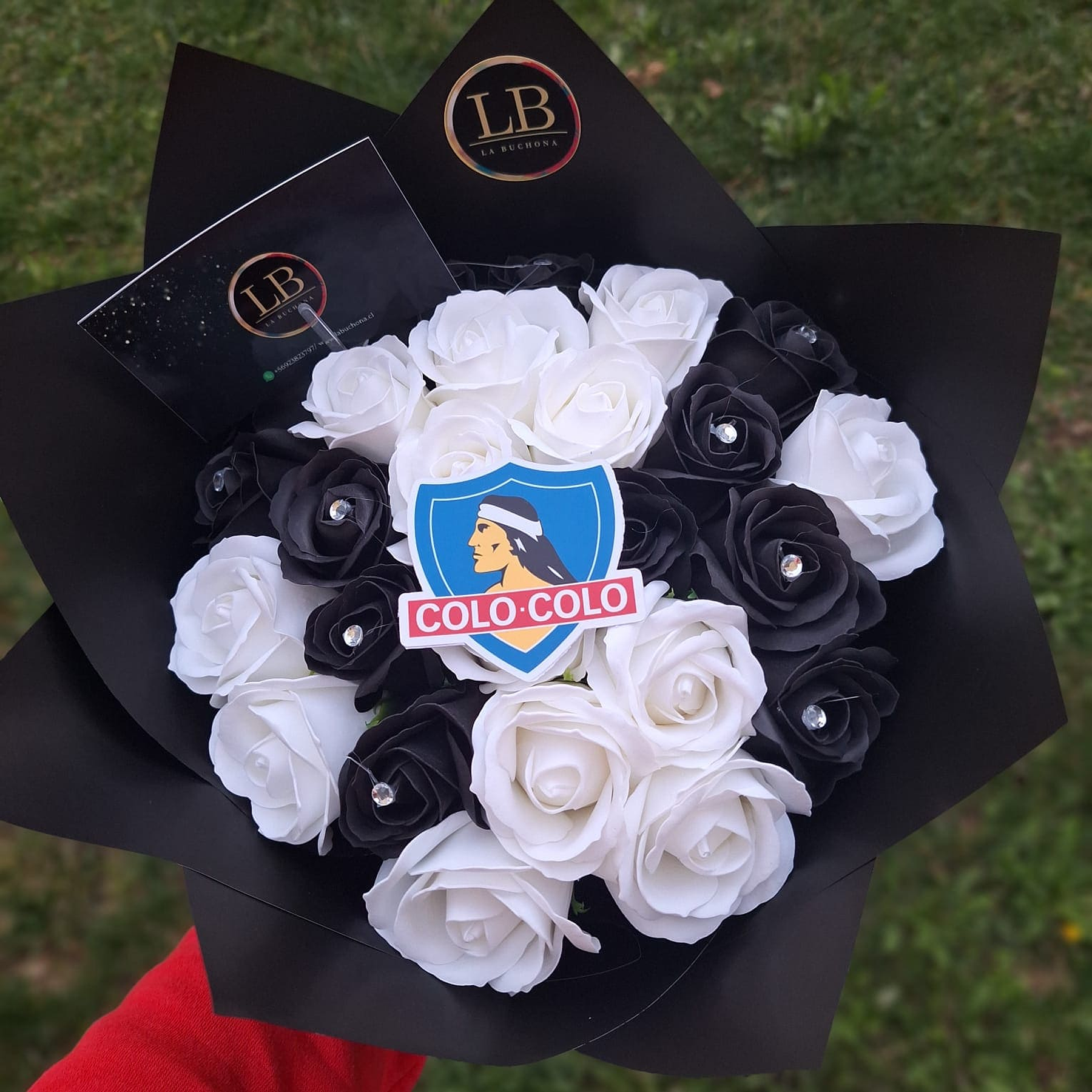 MiniBuchon Colo Colo  1