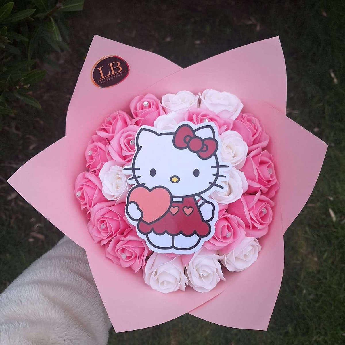 Minibuchon Hello Kitty  1