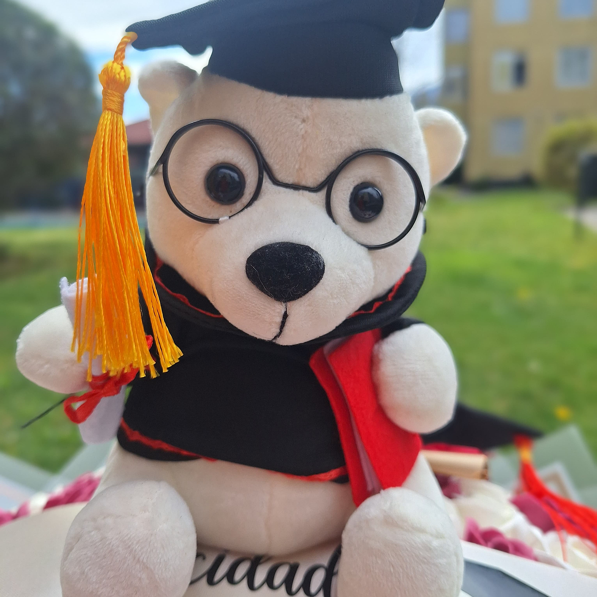 Osito Blanco Graduado  1