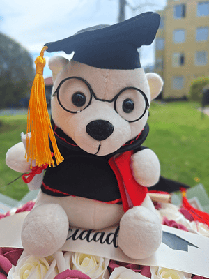 Osito Blanco Graduado 