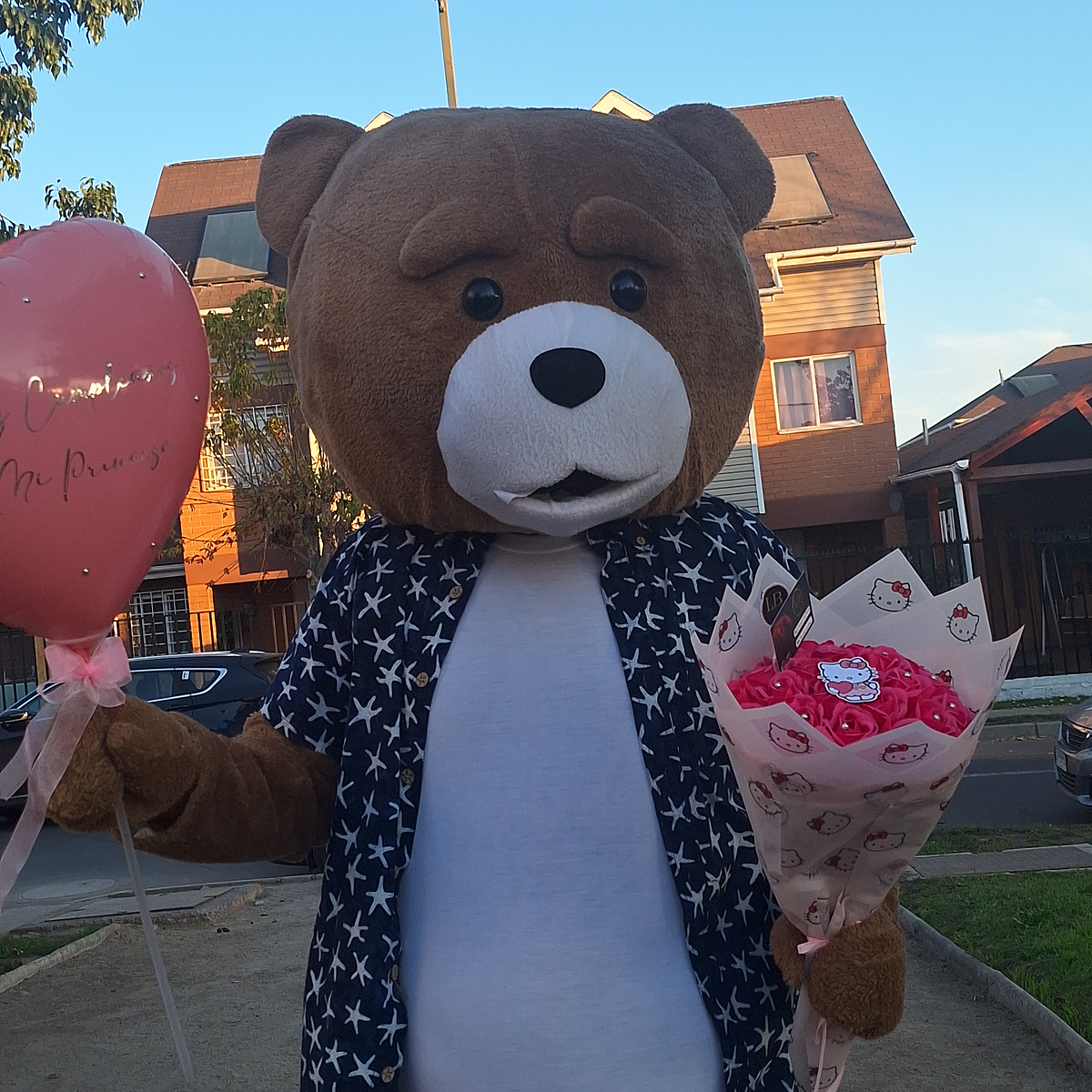 Oso serapio + Minibuchon Hello Kitty 🩷 1