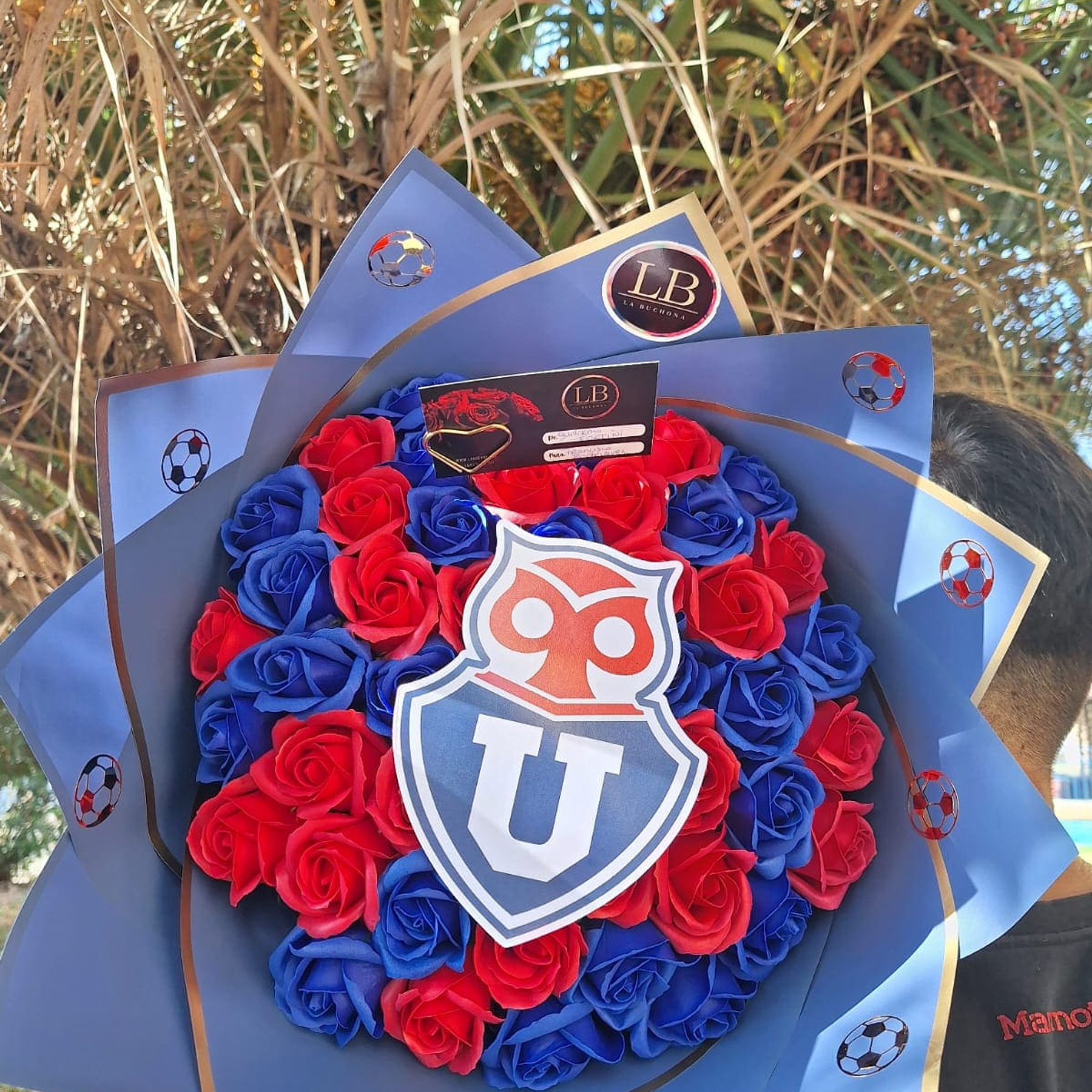 Ramo Buchon Universidad  de Chile  1