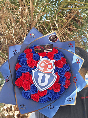 Ramo Buchon Universidad  de Chile 