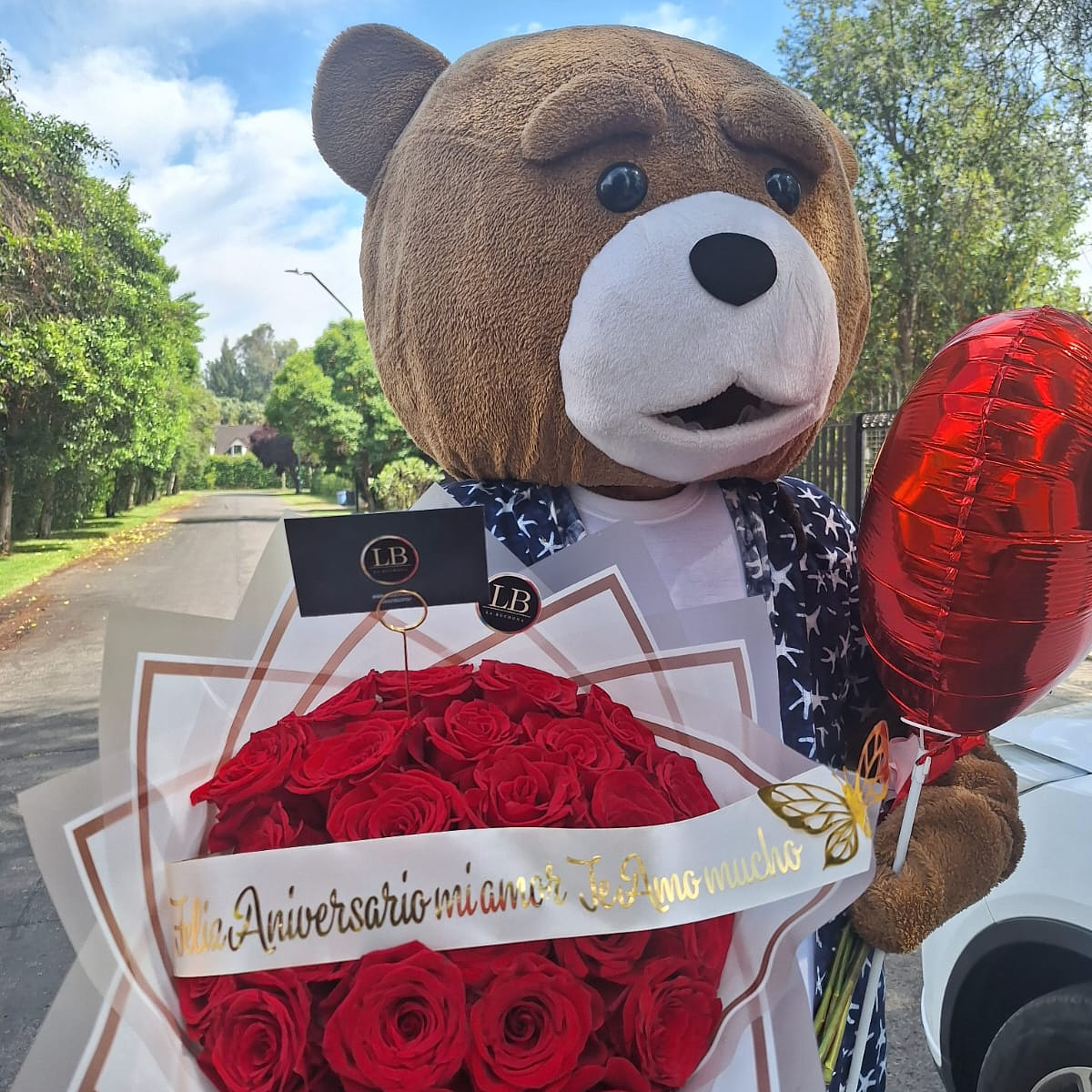 Oso serapio + Ramo de 25 rosas naturales  2