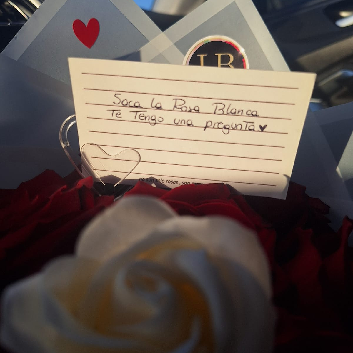 Ramo con mensaje oculto  3