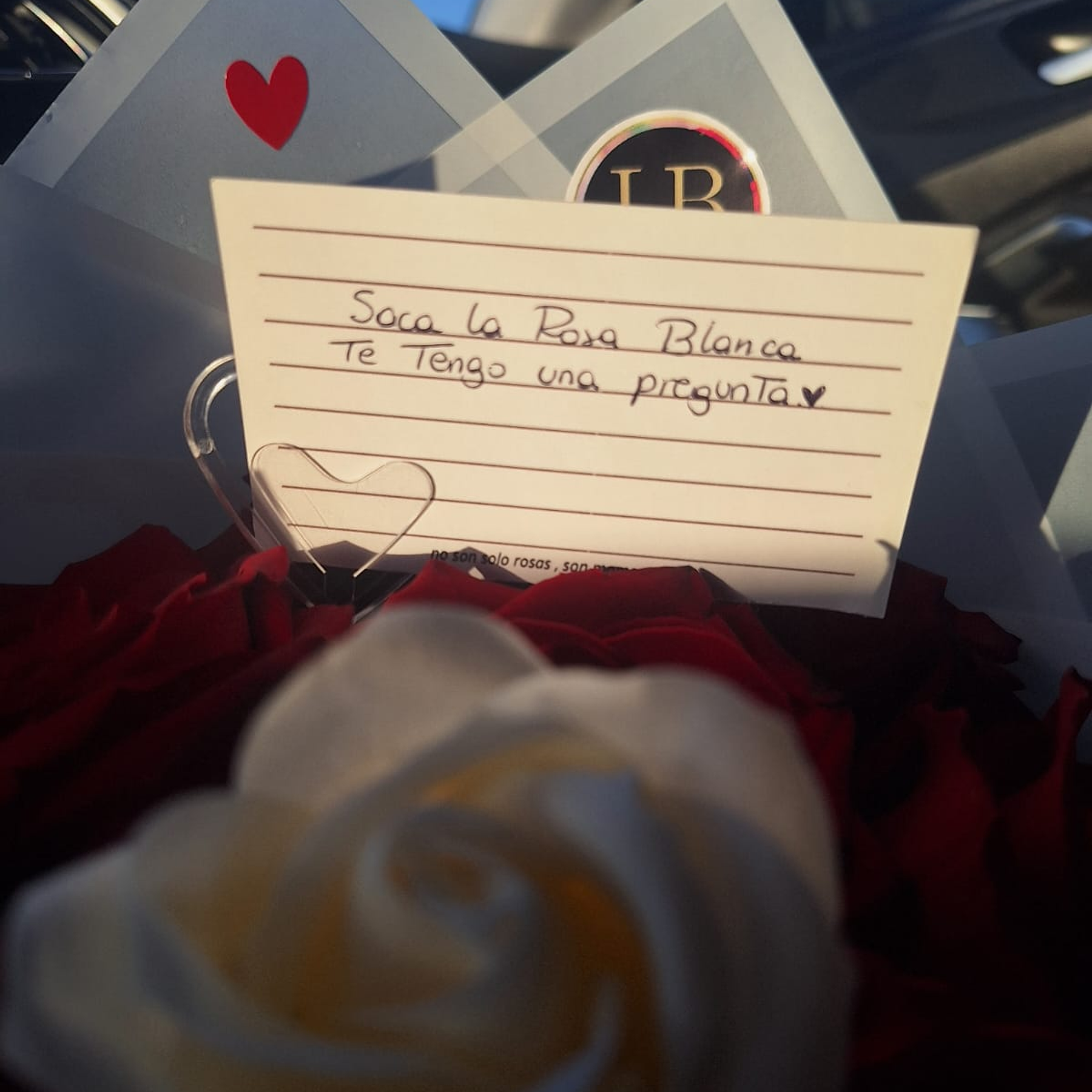 Ramo con mensaje oculto  3