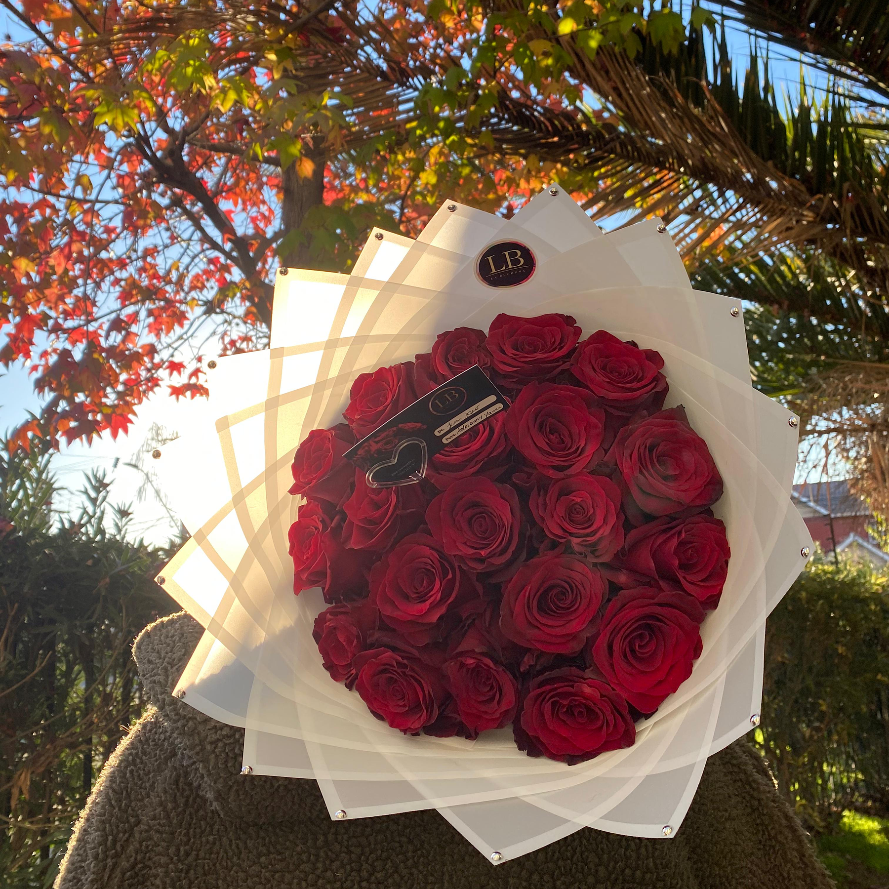 Ramo 20 Rosas Naturales  2