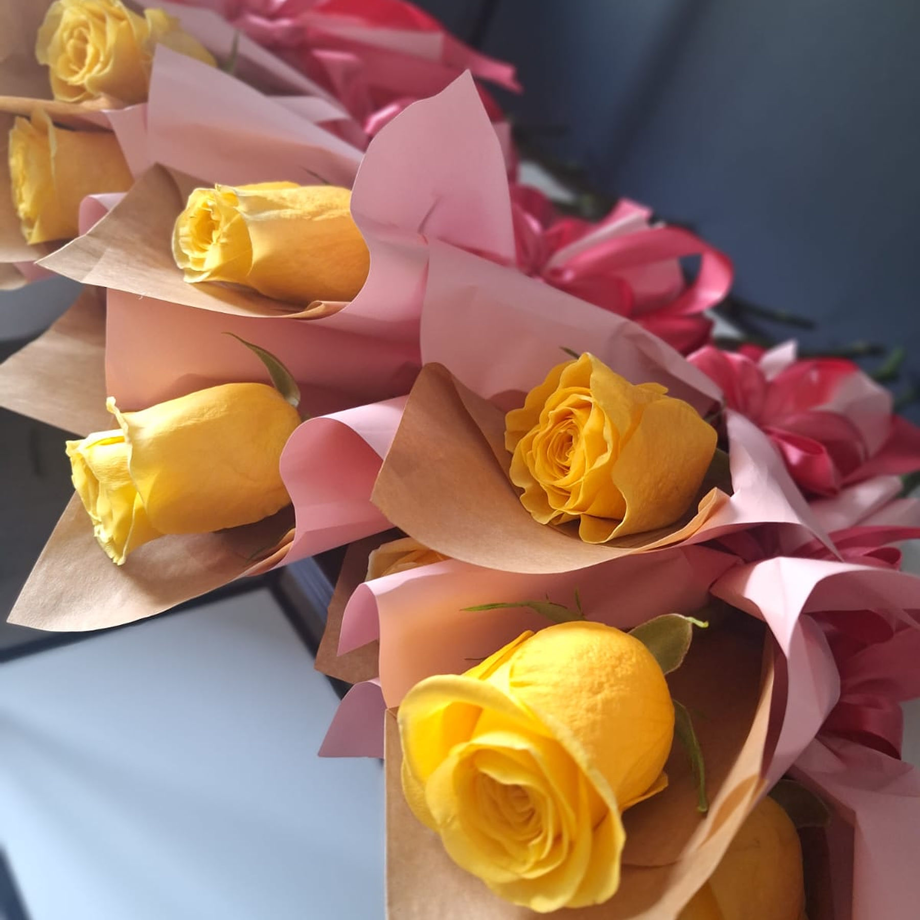 Una Rosa, Mil Emociones 1