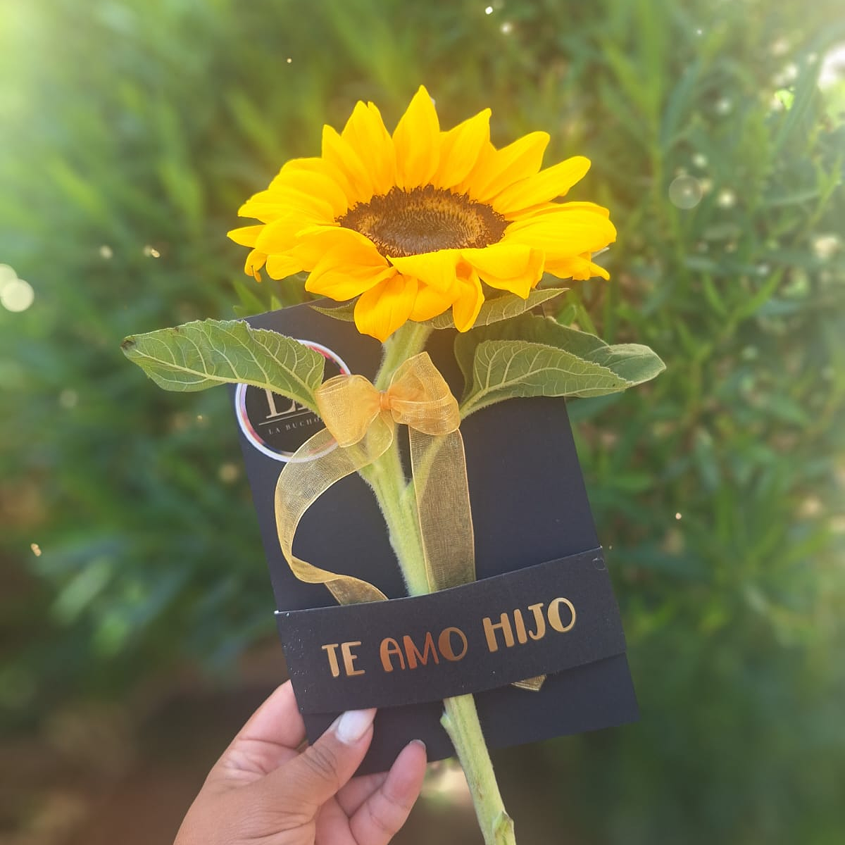 Un Girasol para expresar Amor  1