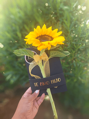 Un Girasol para expresar Amor 