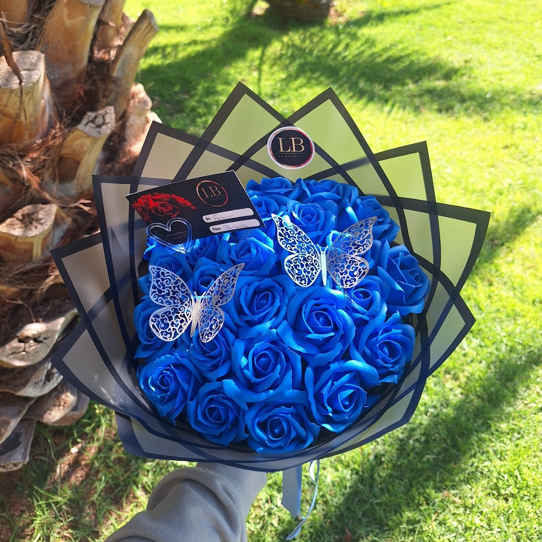 MiniBuchon + 2 mariposas 2