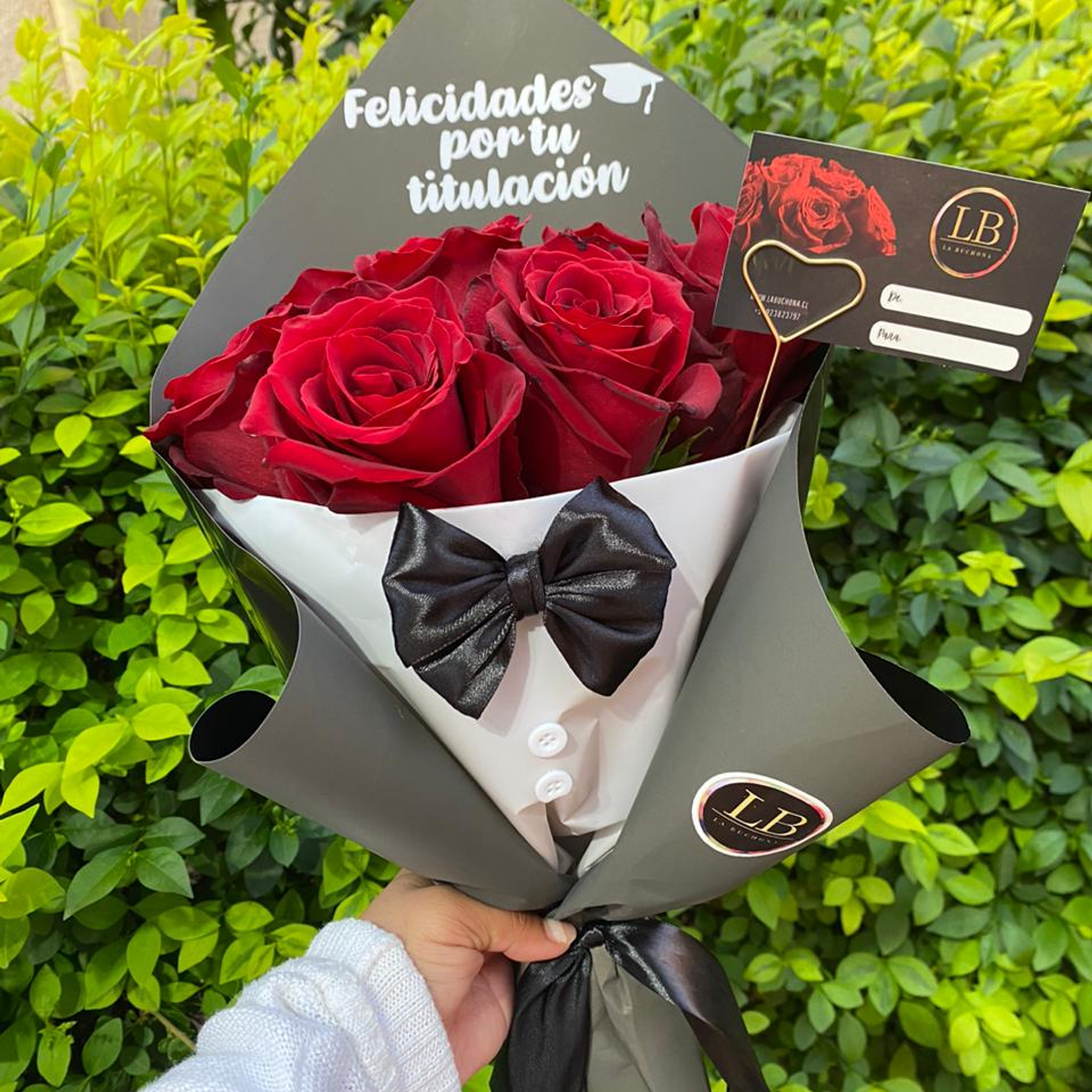 Rosas con Traje de Frac 1