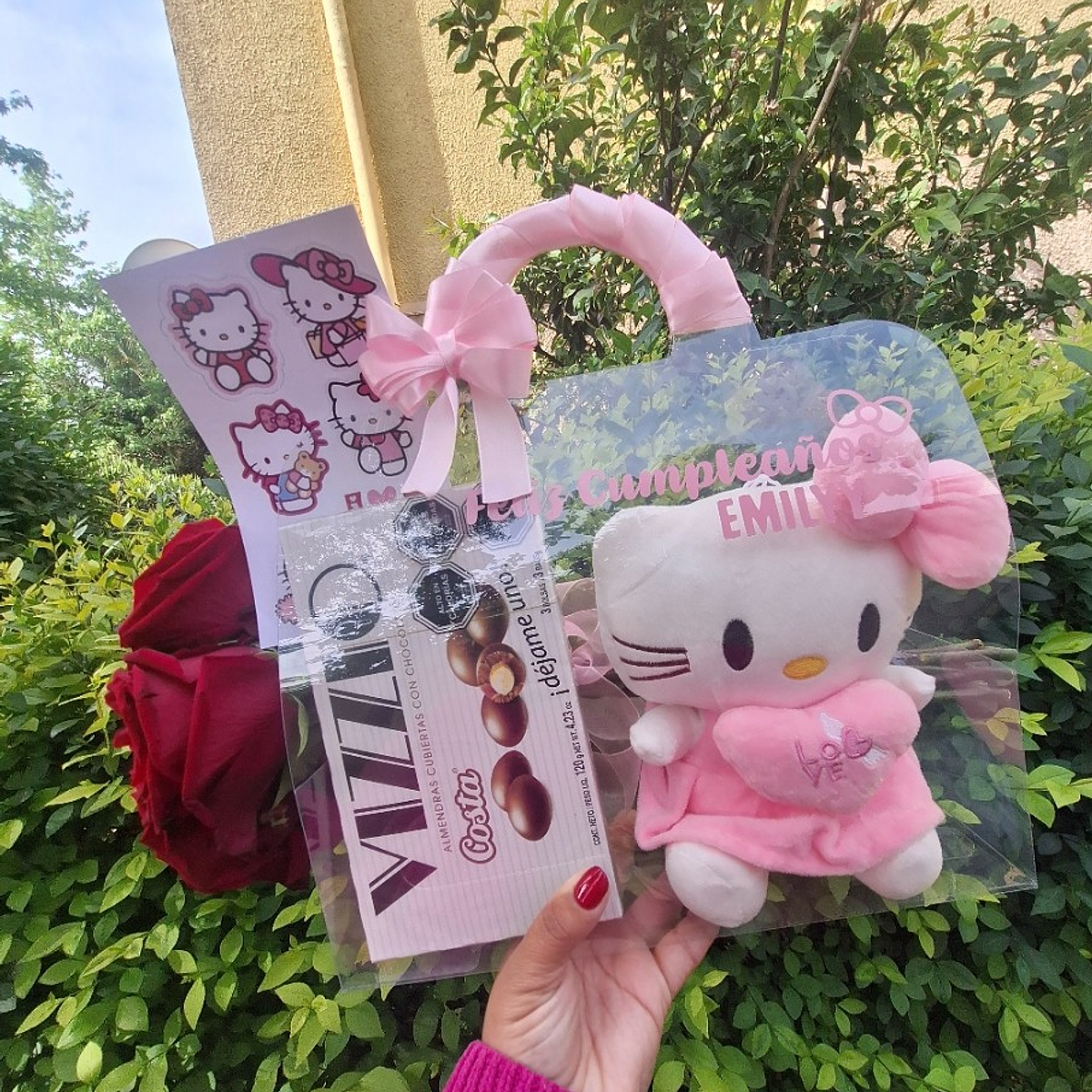 Cartera Hello Kitty 1