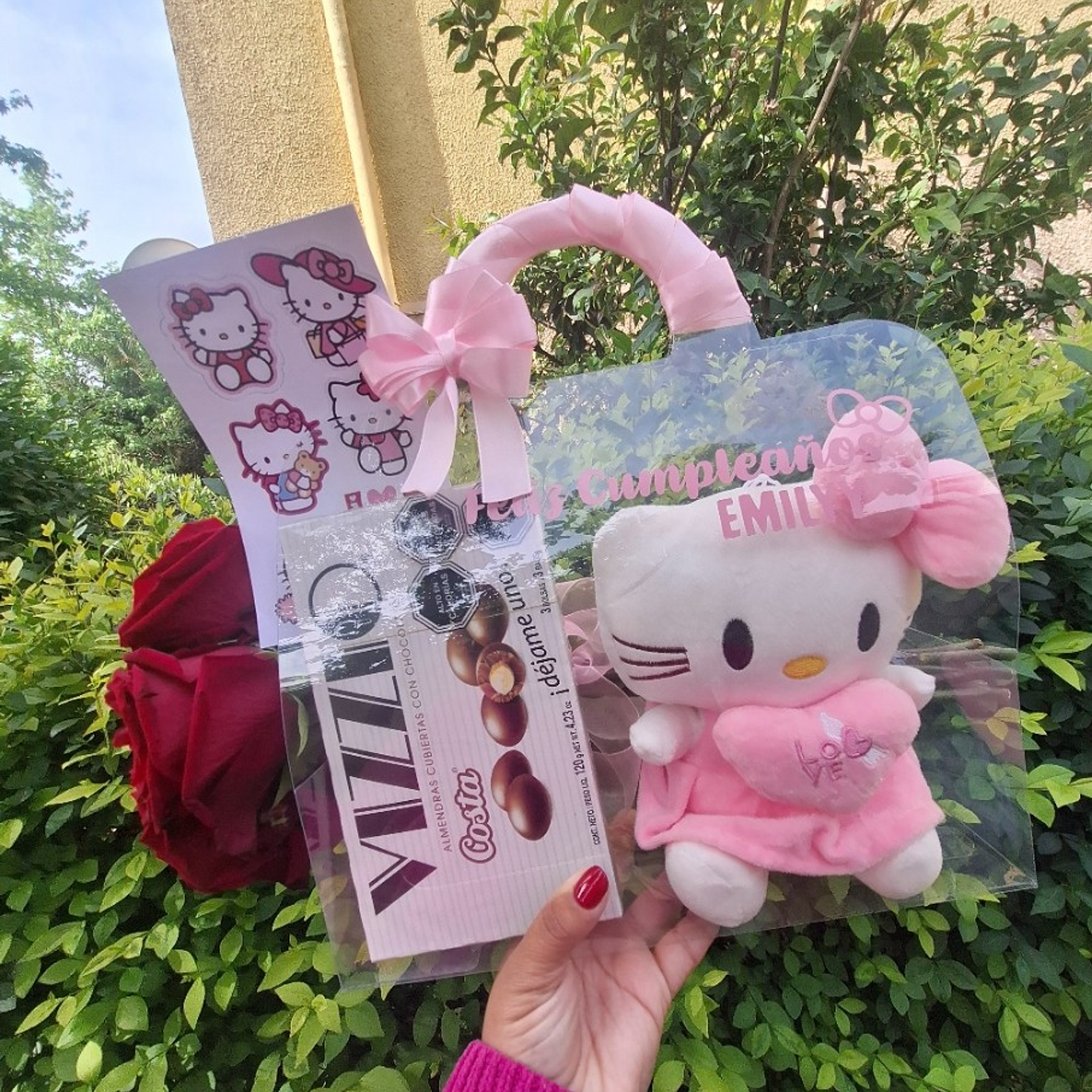 Cartera Hello Kitty 1