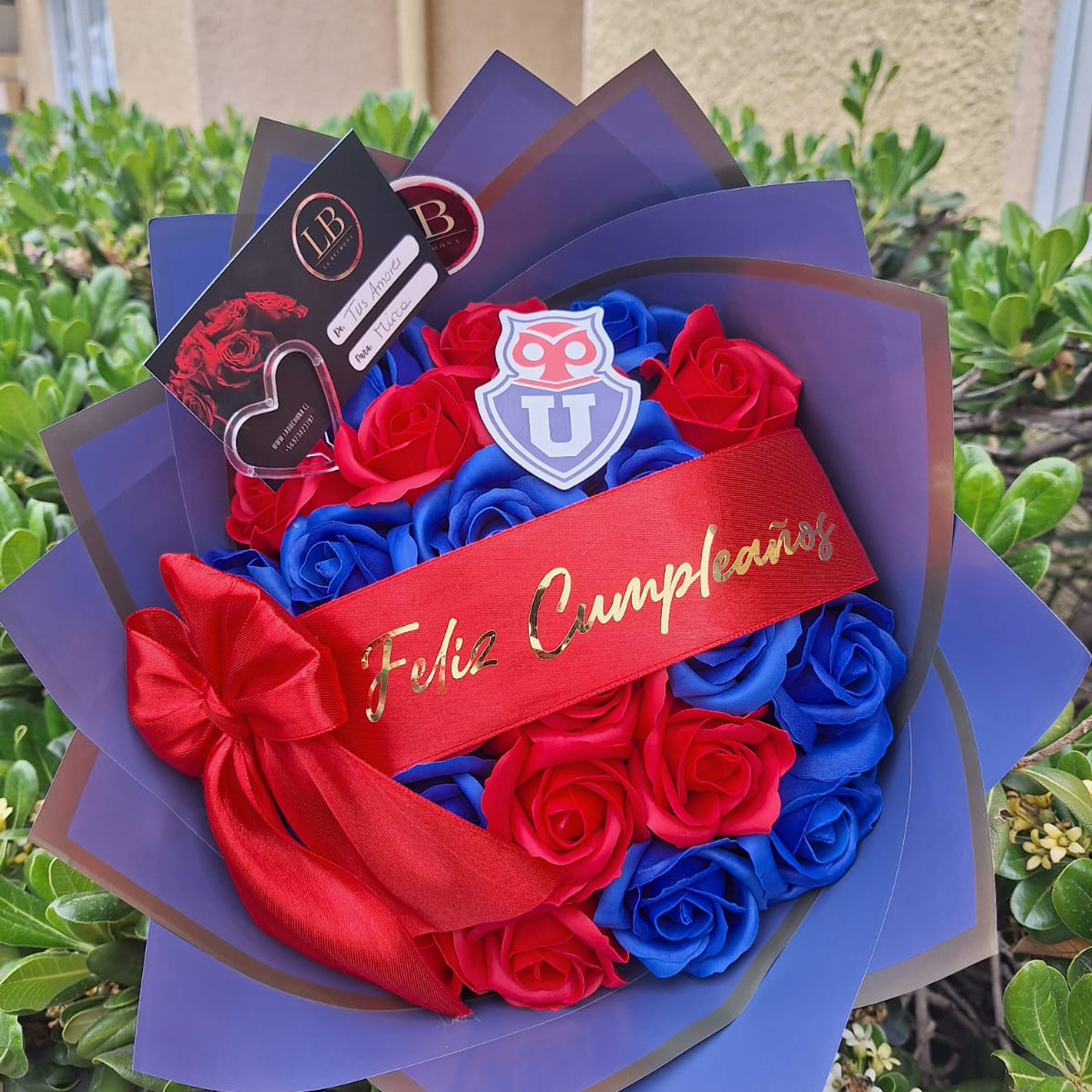 Minibuchon de Universidad de Chile  1