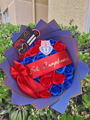 Minibuchon de Universidad de Chile 