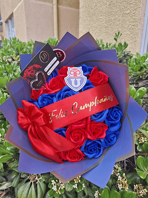 Minibuchon de Universidad de Chile 