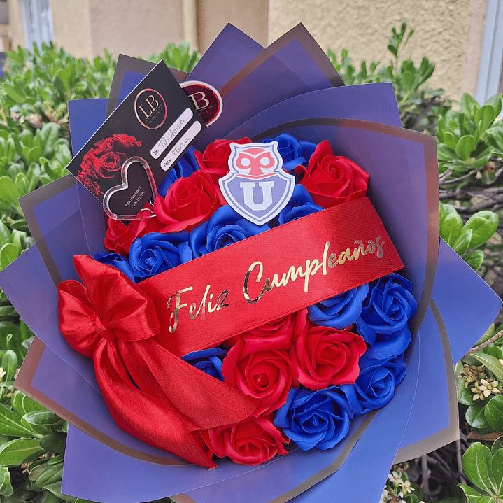 Minibuchon de Universidad de Chile  1