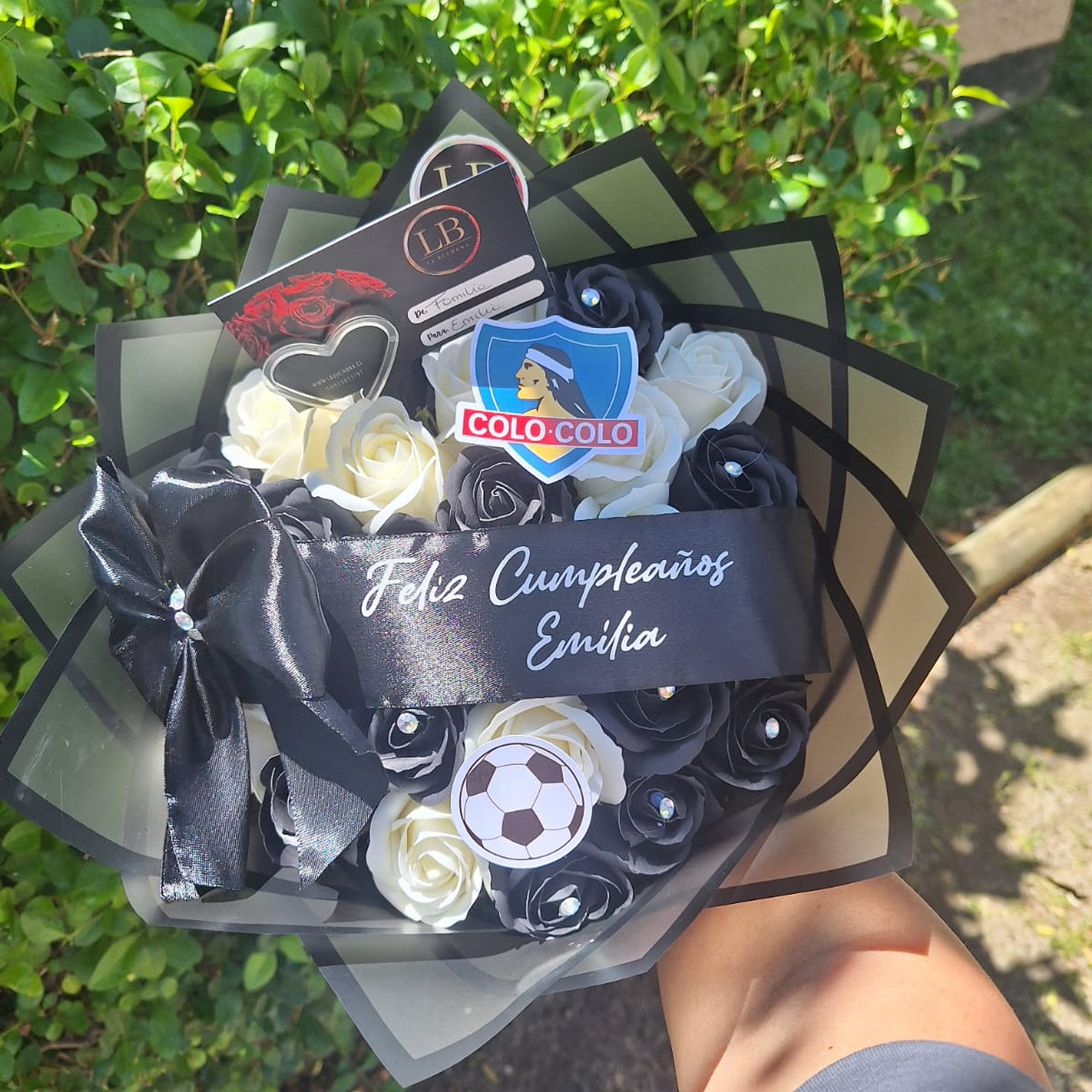 Ramo de Colo - Colo  2