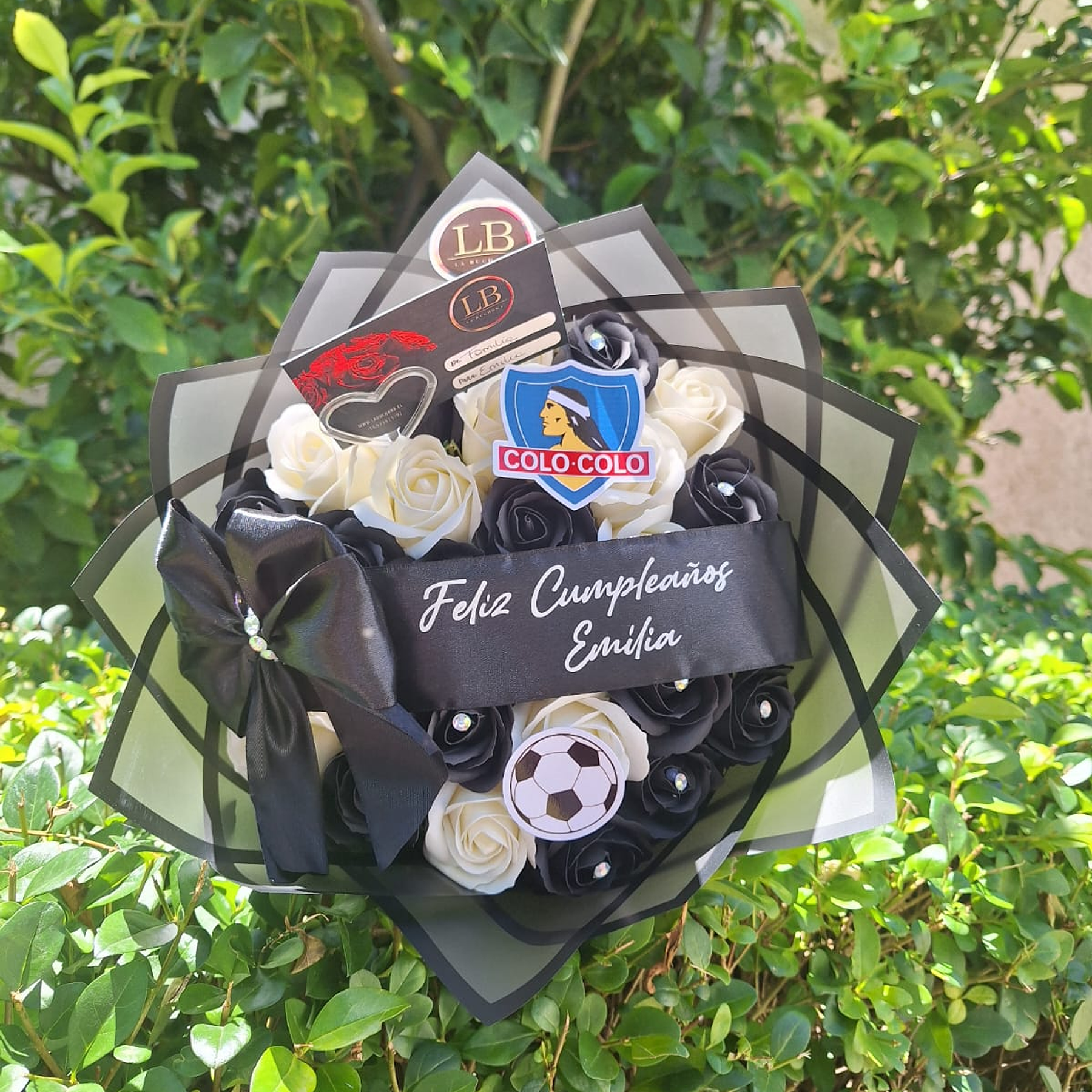 Ramo de Colo - Colo  1