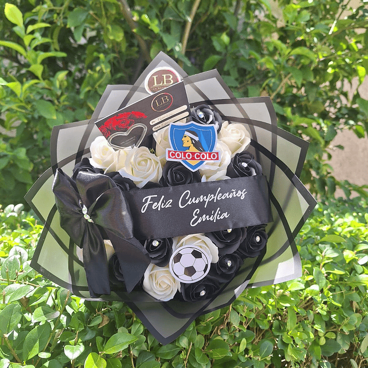 Ramo de Colo - Colo  1