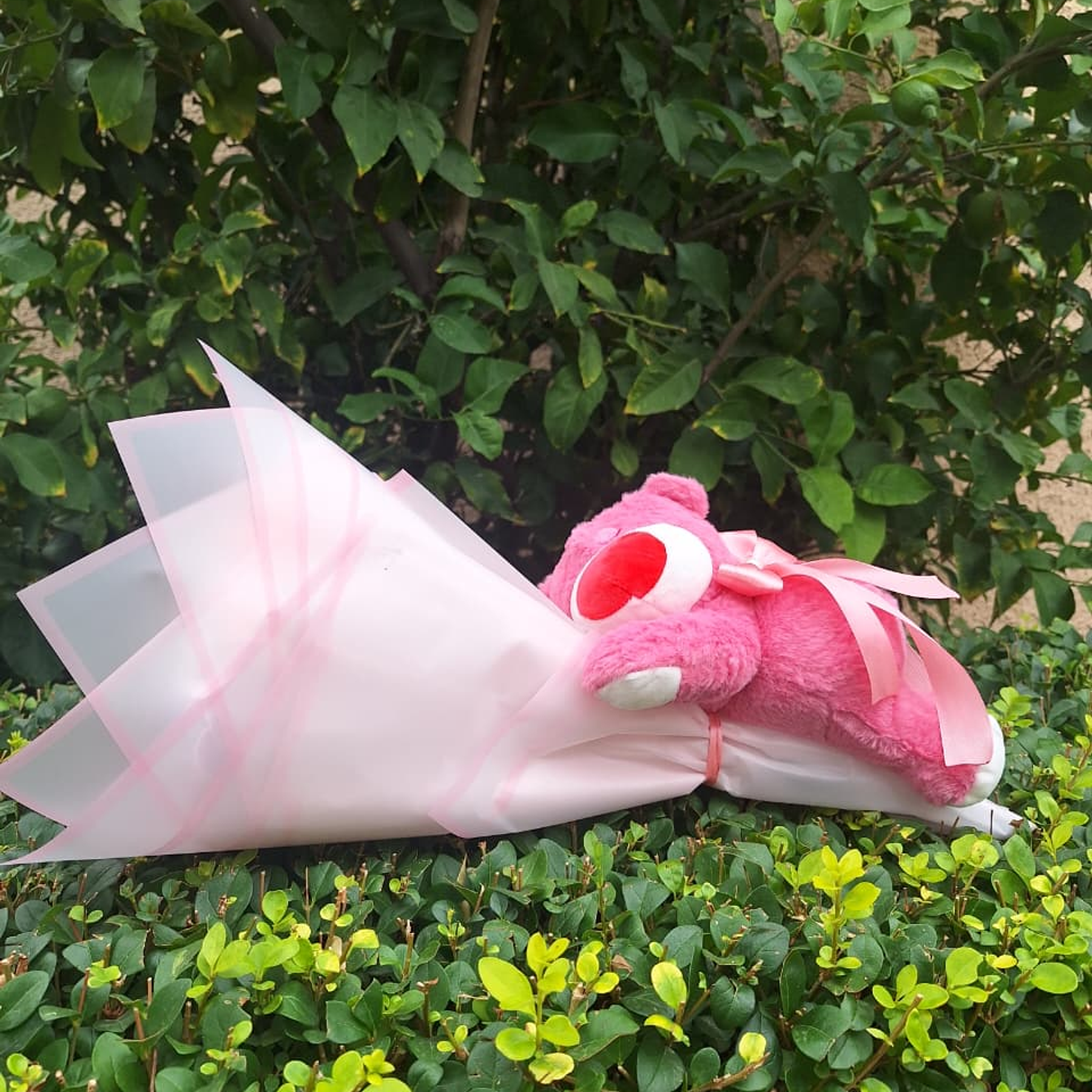 Feliz San Valentin al estilo LOTSO  1