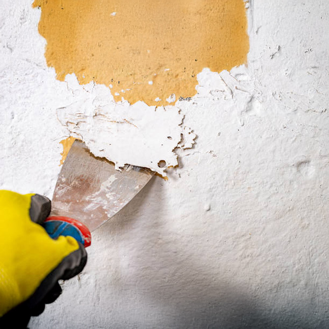 Removedor de Pintura, Lacas y Esmaltes 1/4 galón Dideval 4