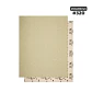 Lija para Barniz Klingspor PS 33 B – Pliego 230x280mm – Grano #320 - Miniatura 1