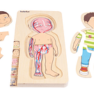 5 en 1 Puzzle cuerpo humano niño