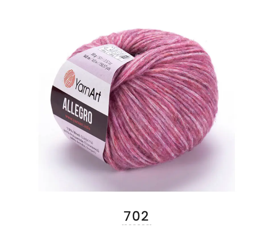 Allegro 31