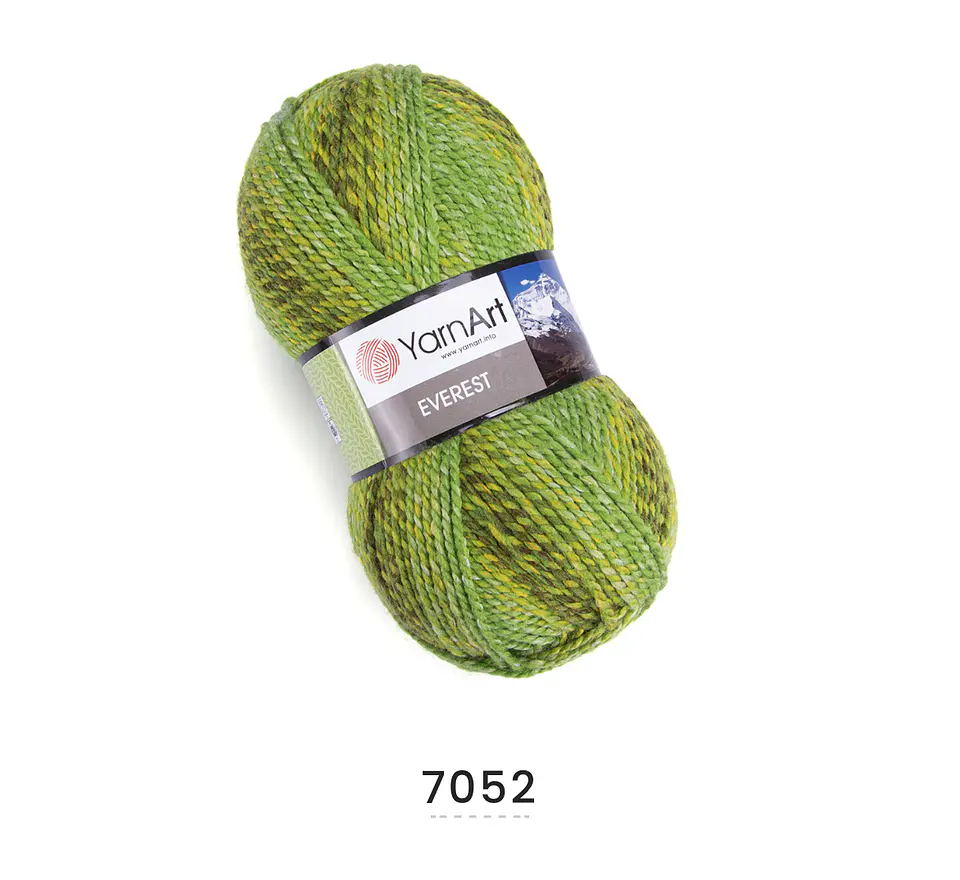 Everest  22
