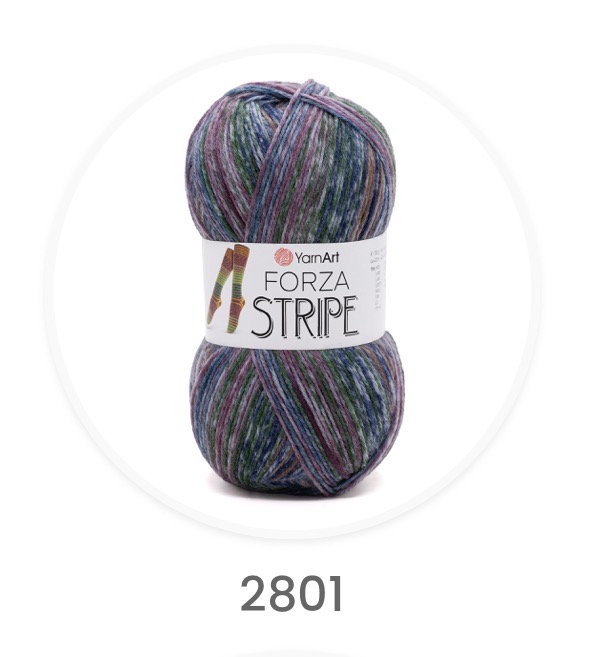Forza Stripe