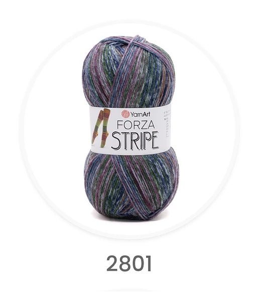 Forza Stripe
