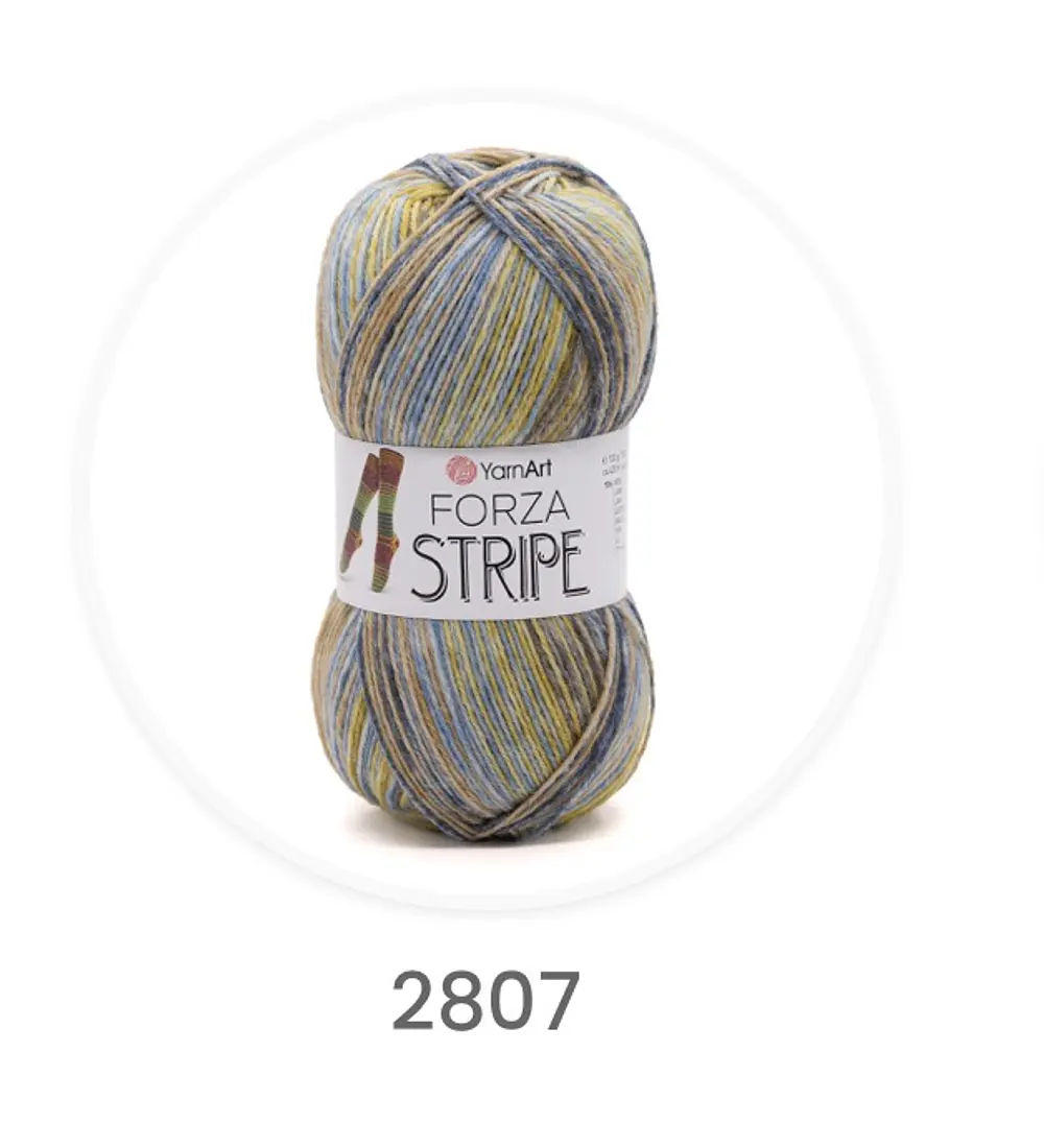 Forza Stripe