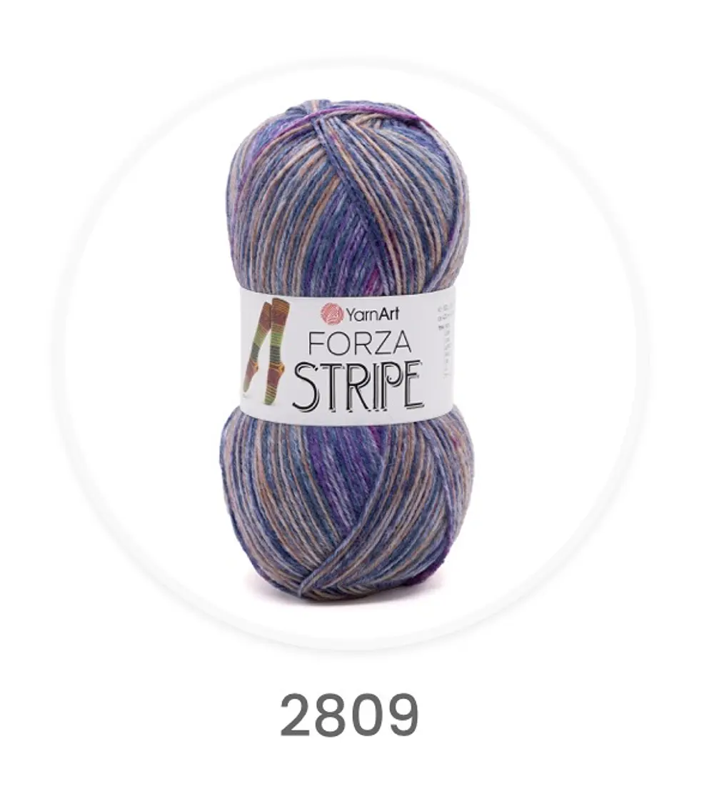 Forza Stripe