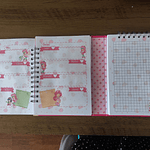 Planner Duo Frutillita