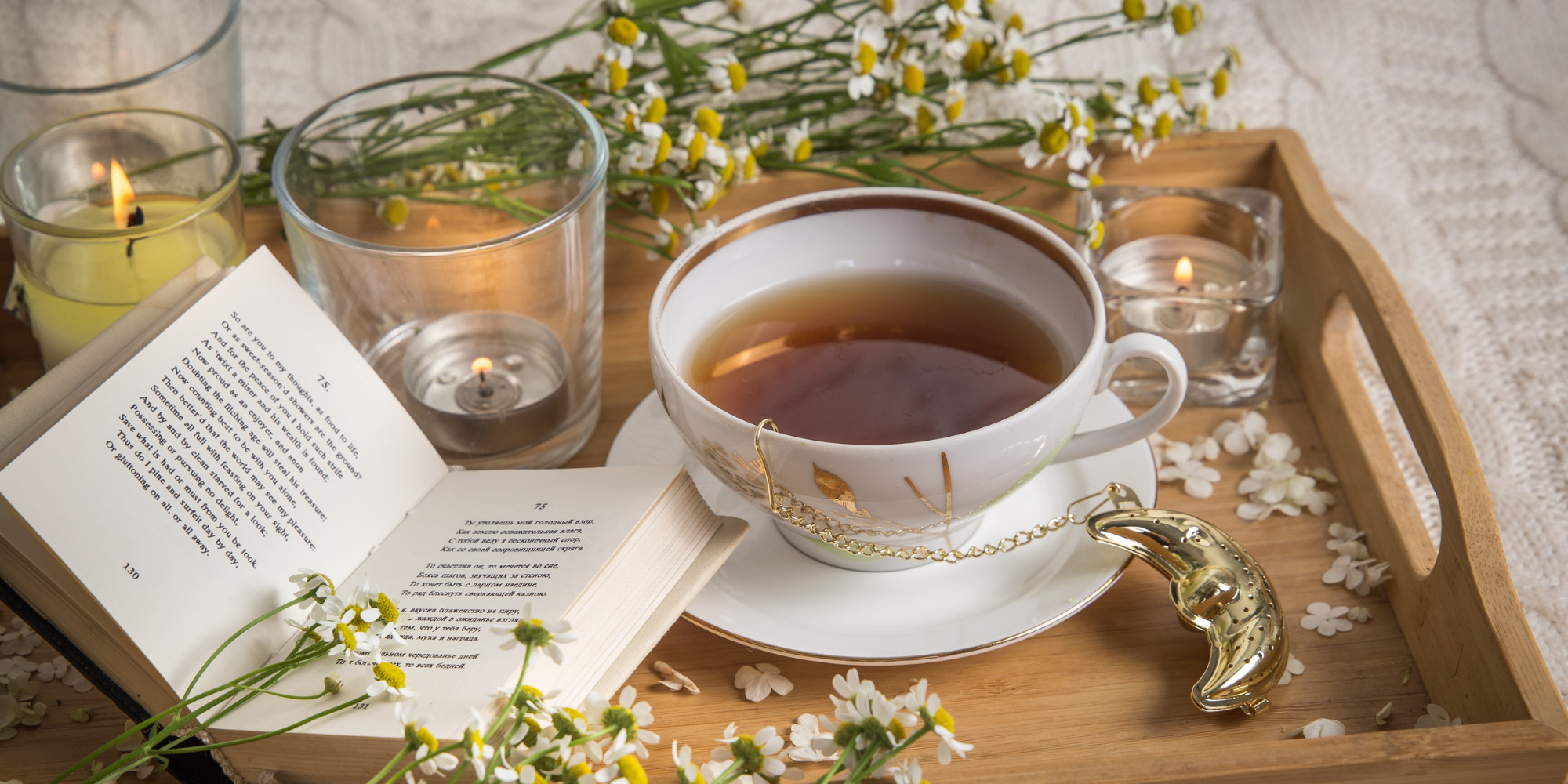 Tés e Infusiones