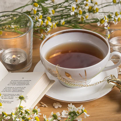 Tés e Infusiones