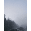 Libro de Tejido LITLG - Through The Trees